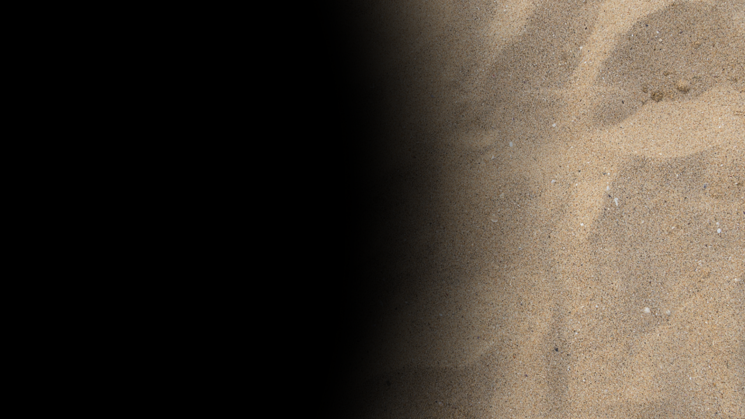 LEAD-2